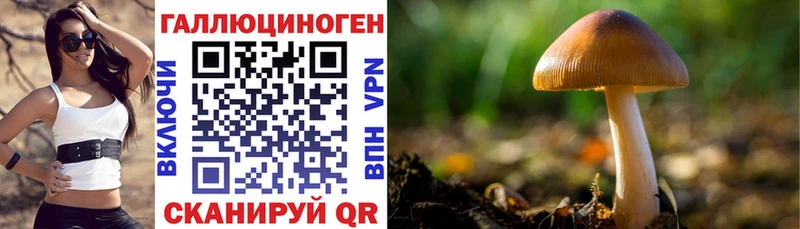 Псилоцибиновые грибы Psilocybe  shop клад  OMG ТОР  Разумное  как найти  